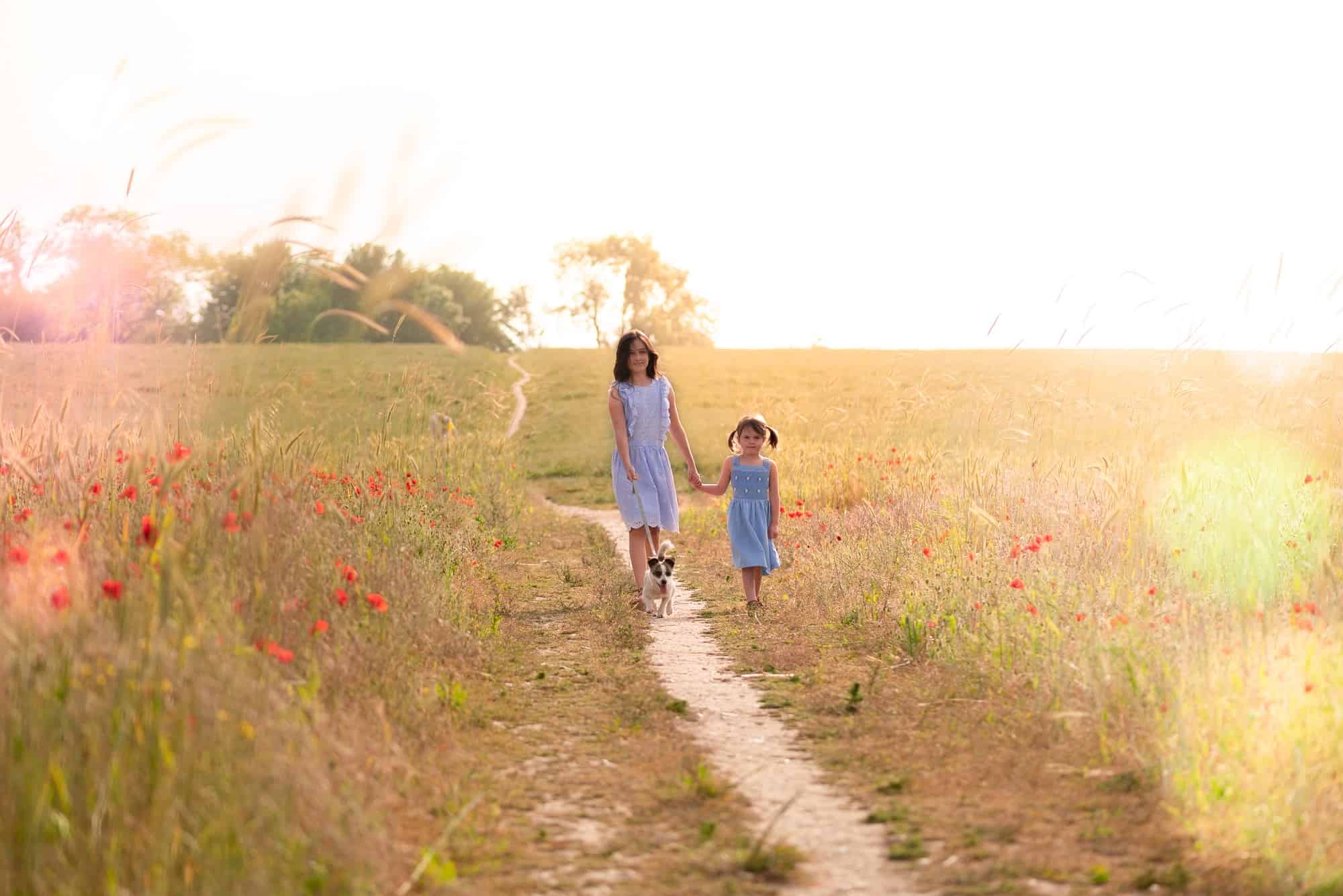 Children walking down a path in the field of poppies with their dog, for a natural children's photo shoot